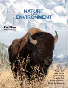 Nature and the Environment, Issue 1